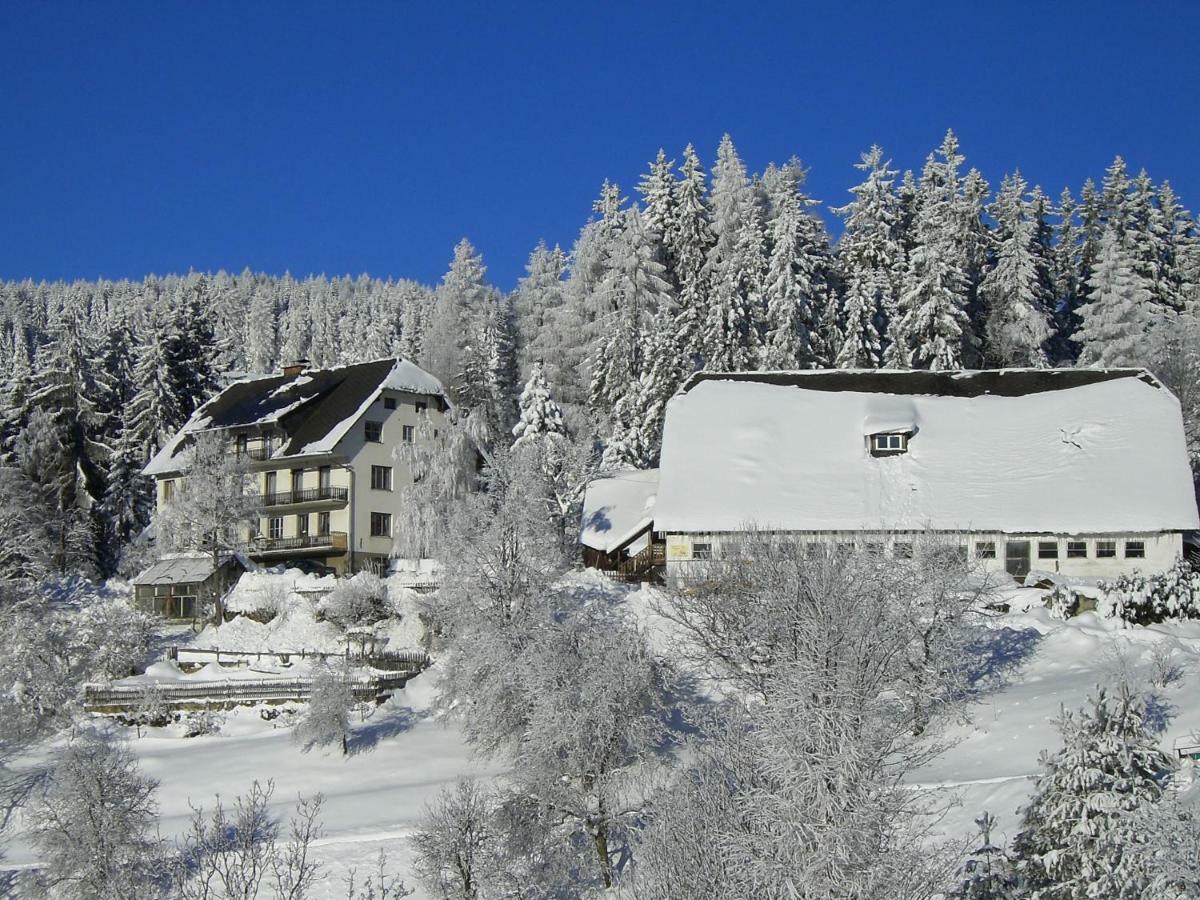 Urlaub Am Bauernhof Grabenhofer Villa Sankt Jakob im Walde Exterior photo